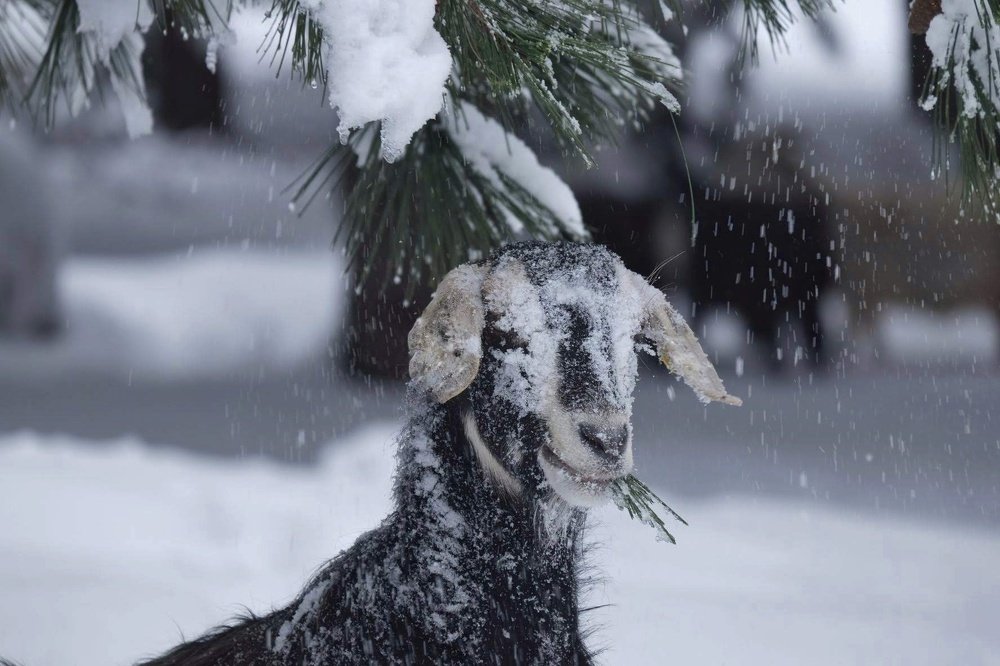Photograph by Eylem Barış