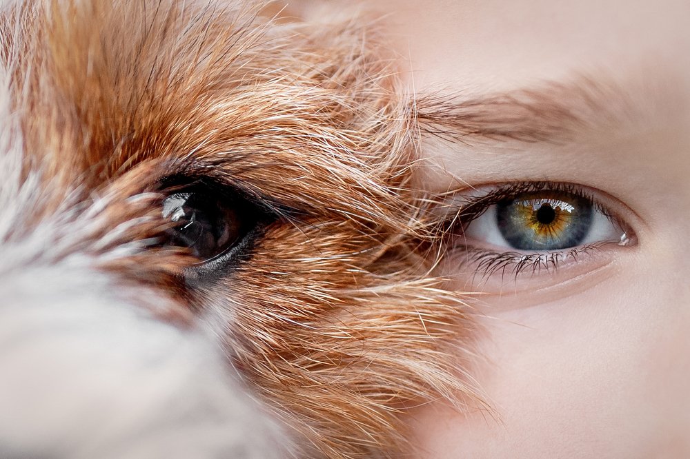 Photograph by Мария Мадзик