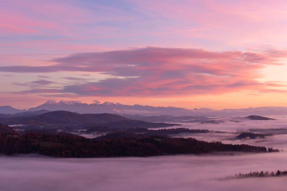 Photograph by Jernej Peljhan