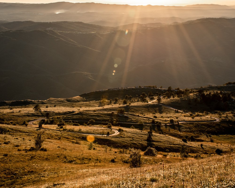 Photograph by Jernej Peljhan