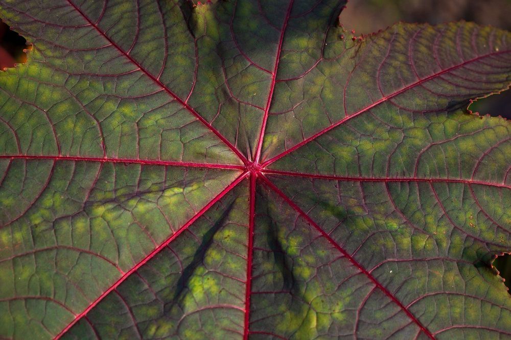 Photograph by Павел Юнусов