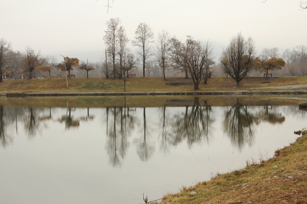 Фотография автора Эмма Марзоева