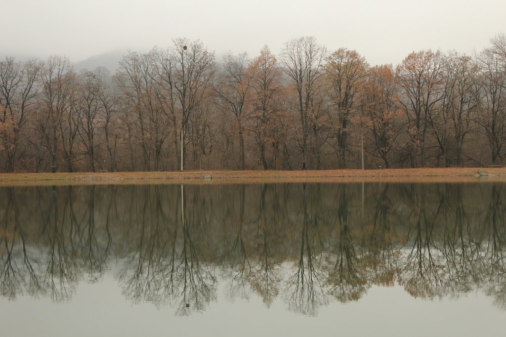 Фотография автора Эмма Марзоева