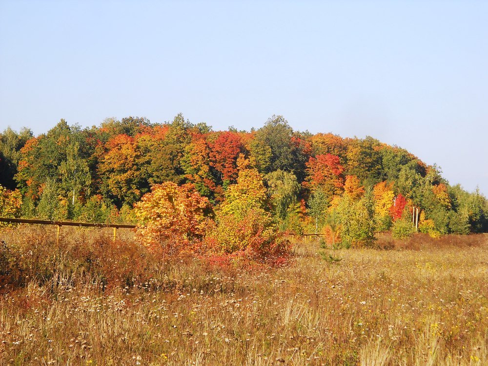 Photo #5329824