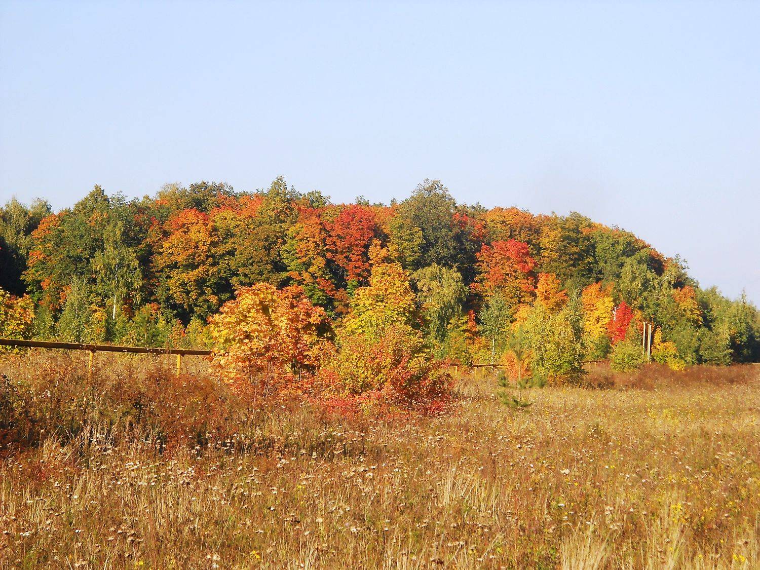 Photo #5329824
