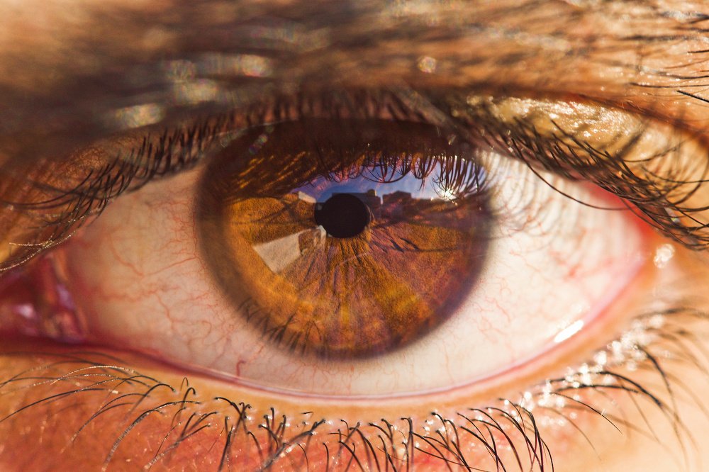 Photograph by Rishay Madan