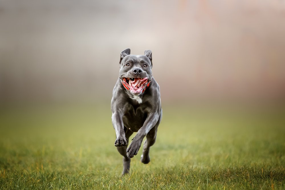 Photograph by Мария Мадзик