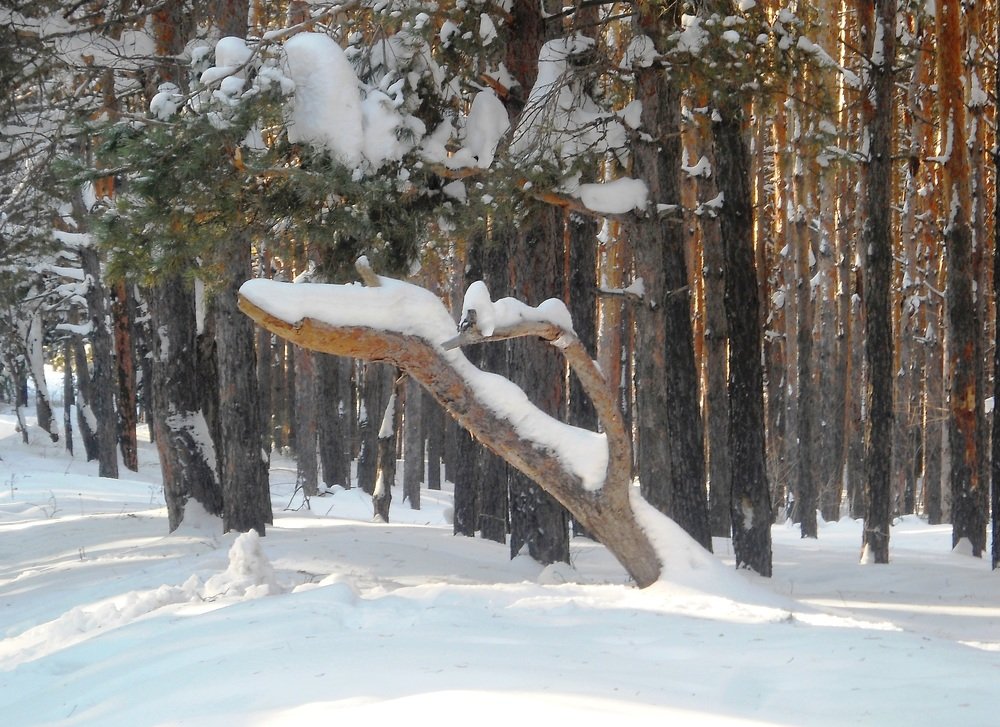 Photo #5329893