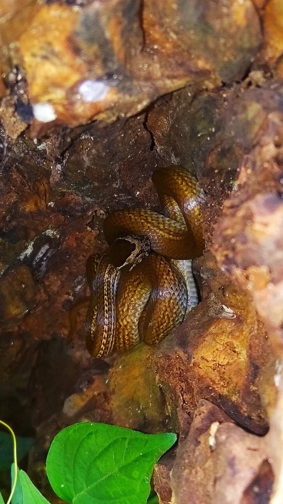 The rest of the Gita