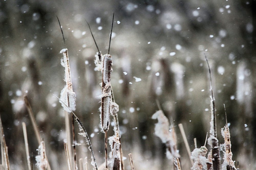 Photograph by Anna Suchcicka