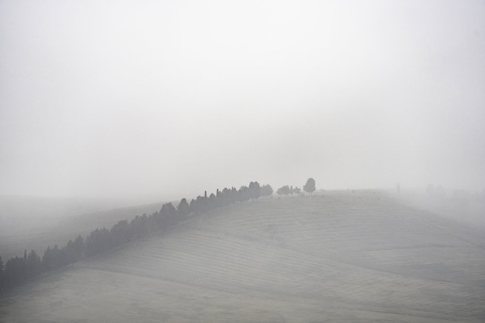 Фотография автора George Kurashvili