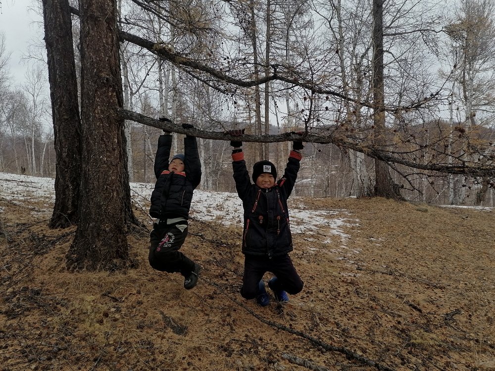 Photo #5330011