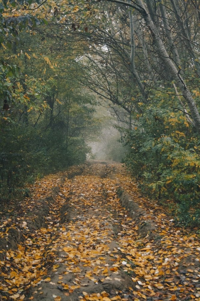 Photograph by Анна