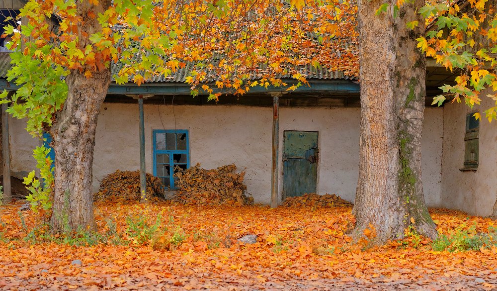 Photograph by Marat Sairanbaev