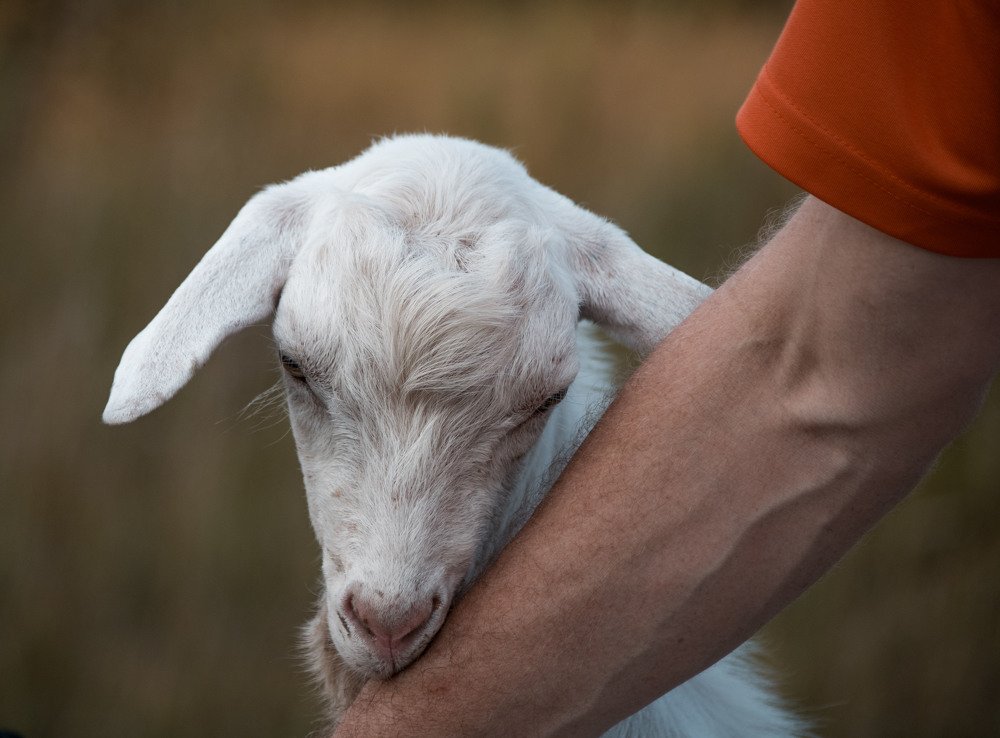 Photograph by Дмитрий Коваленко
