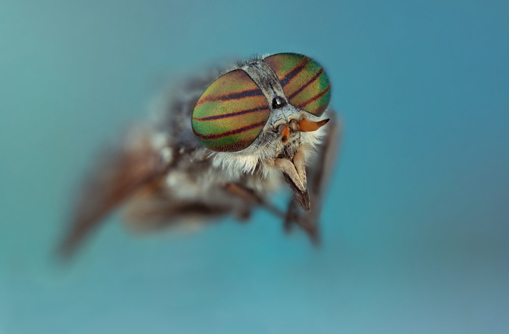 Photograph by Сергей Романченко