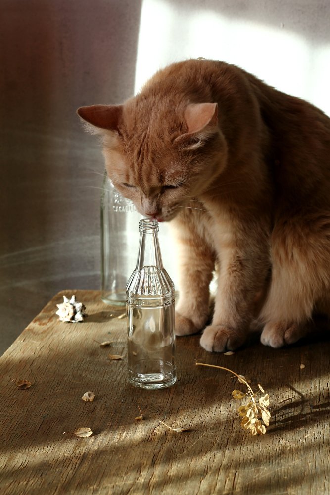 Photograph by Курочкина Диана