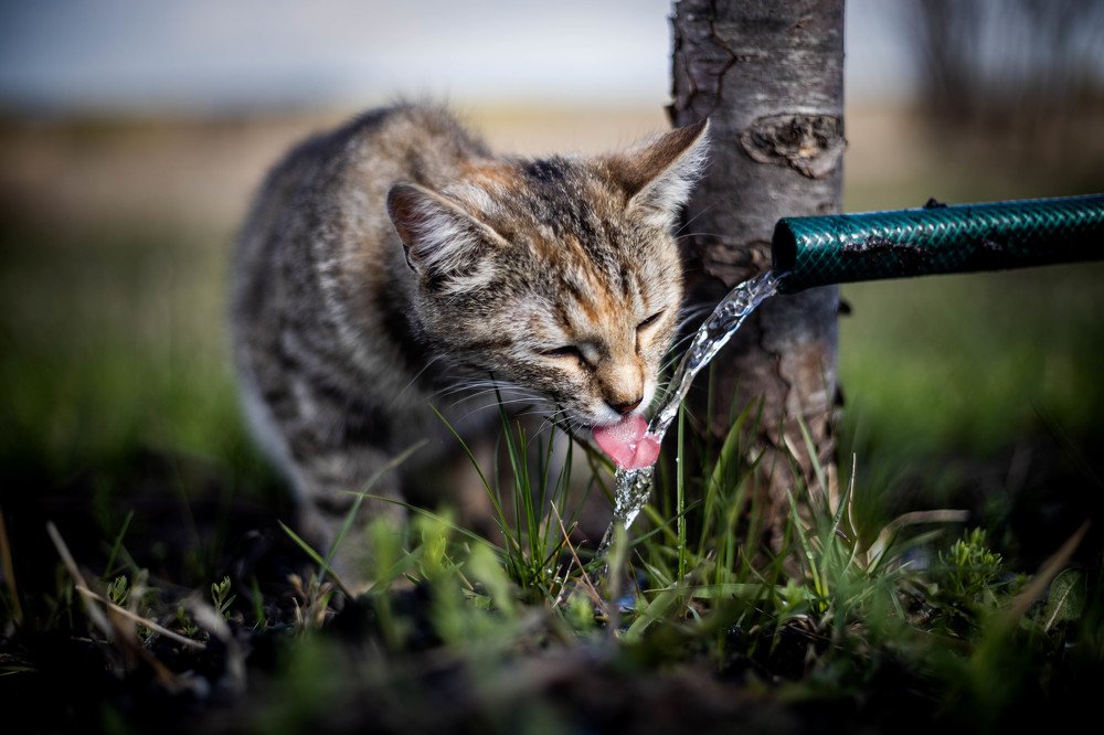 Photograph by Марина Стротова
