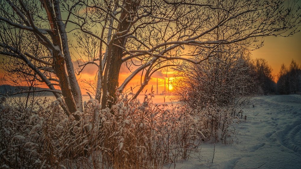 Photograph by Евгений Калагаев