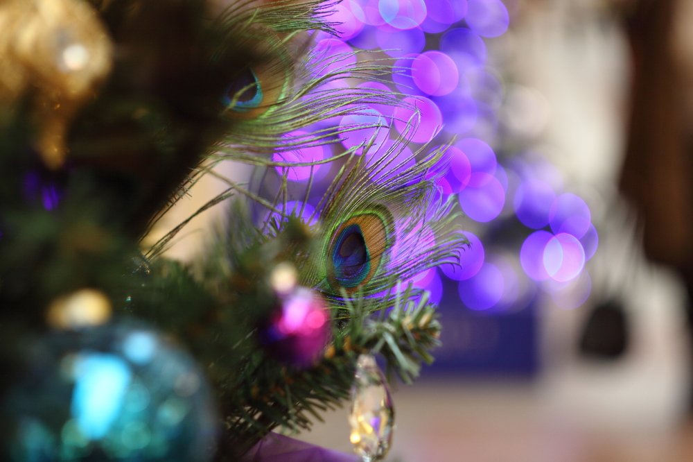 Photograph by Константин Лагоденко