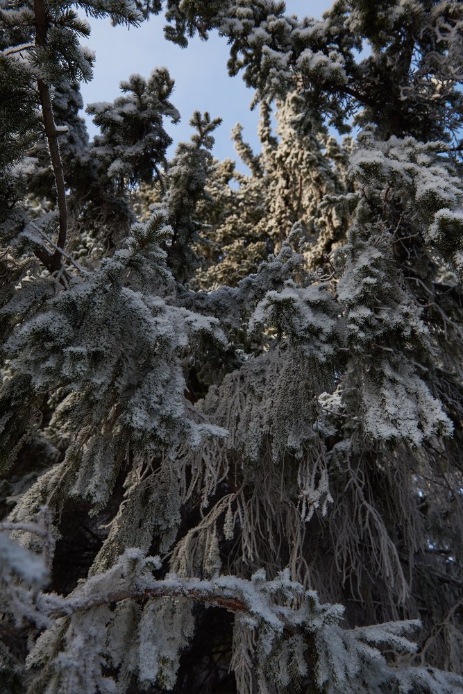 Photograph by Артём Козлов