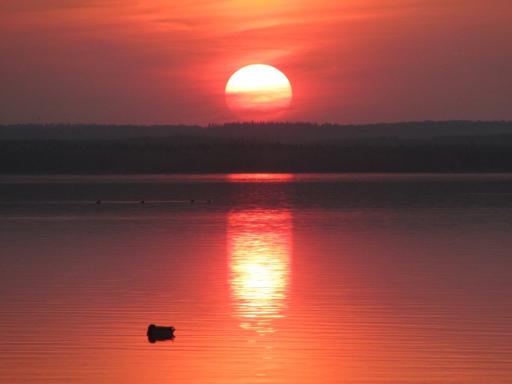 Photograph by Юлия