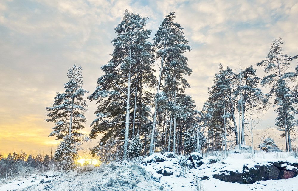 По дороге в Порвоо
