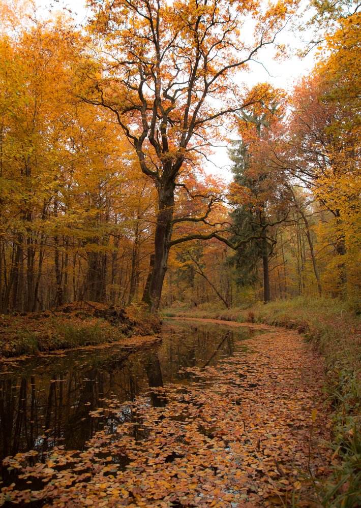 Питьевой канал