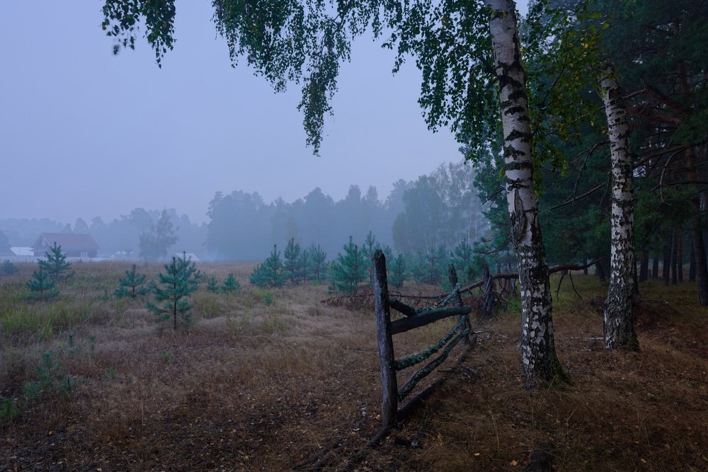 Синий рассвет