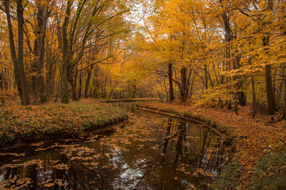Photograph by Наталья Брюхненко