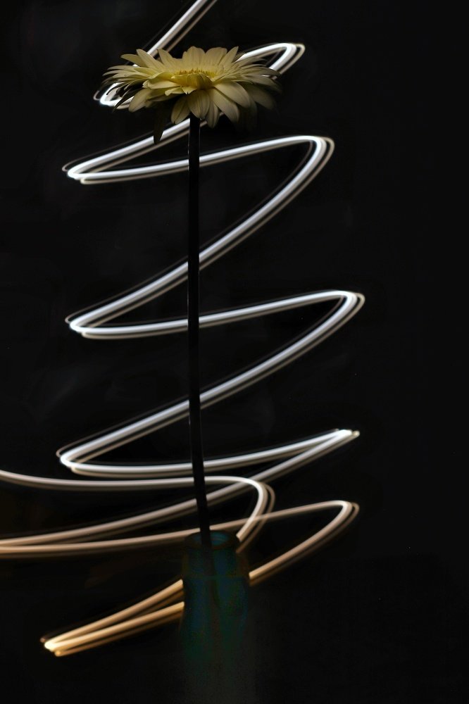 Photograph by Наталья Лыкова