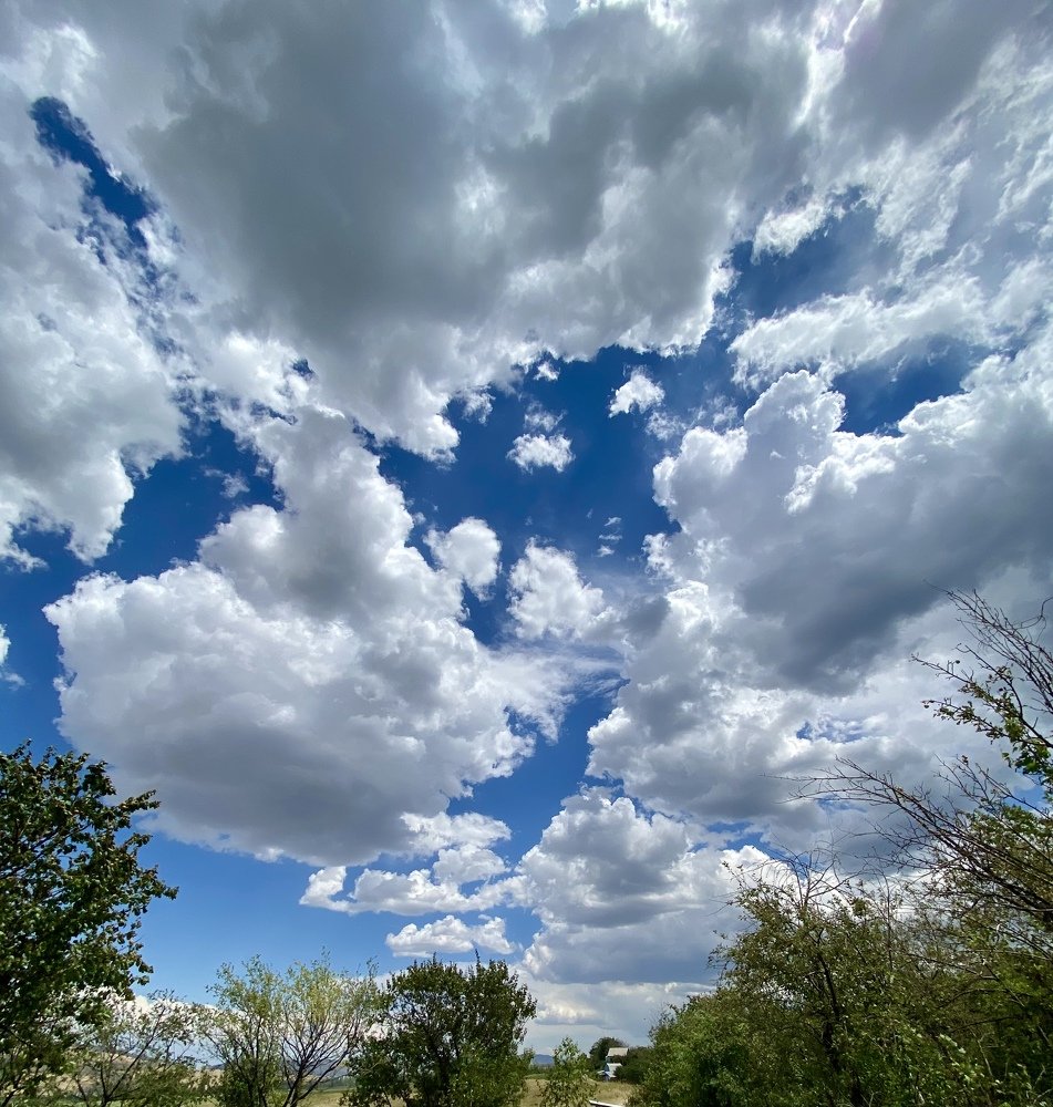 Photograph by Altynbek