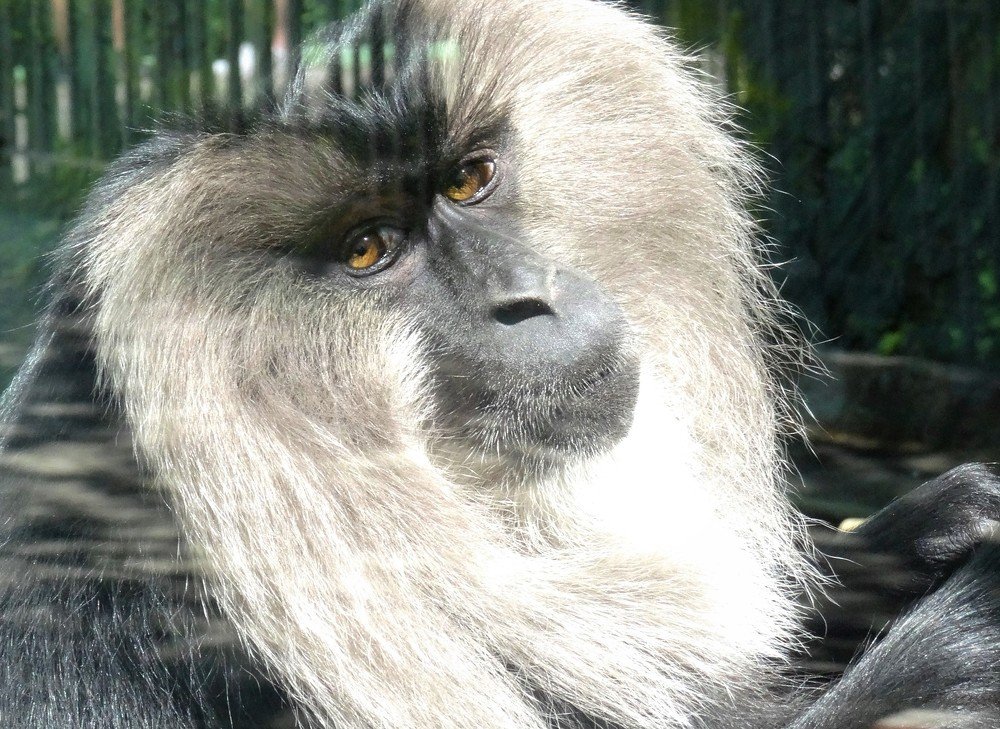 Photograph by Марина Раткун