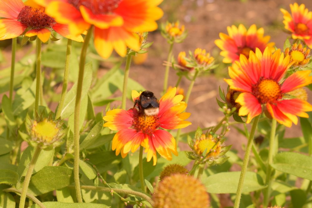Photograph by Елена Викторовна Богданова