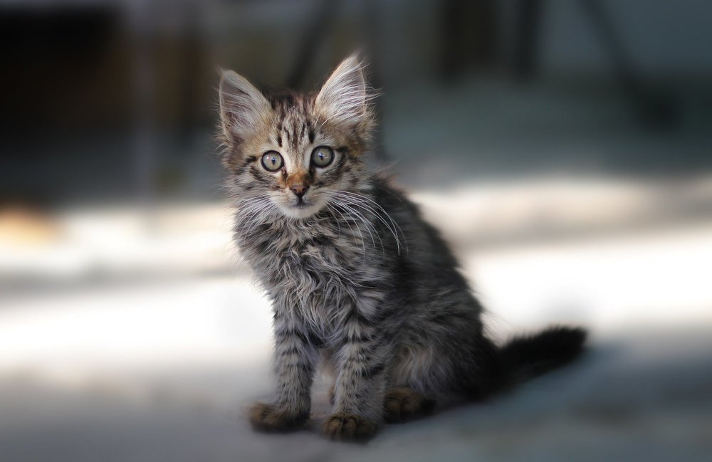 Photograph by Елена Гусева