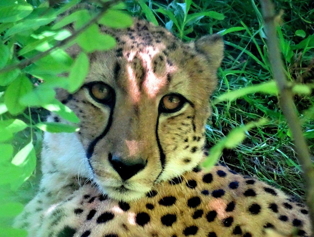 Photograph by Марина Раткун