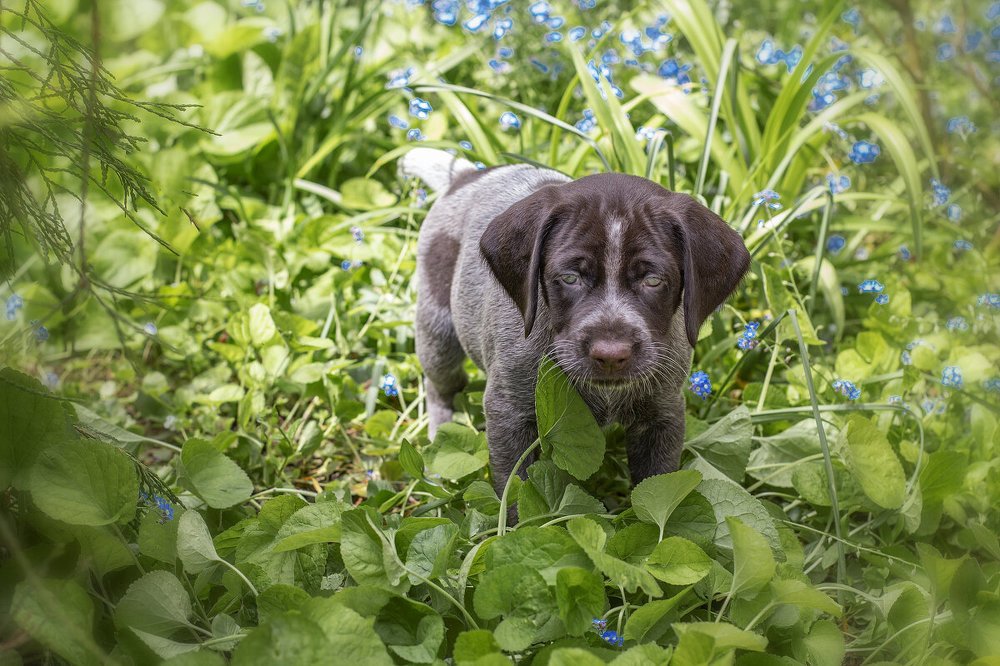 Photograph by Елена Гусева