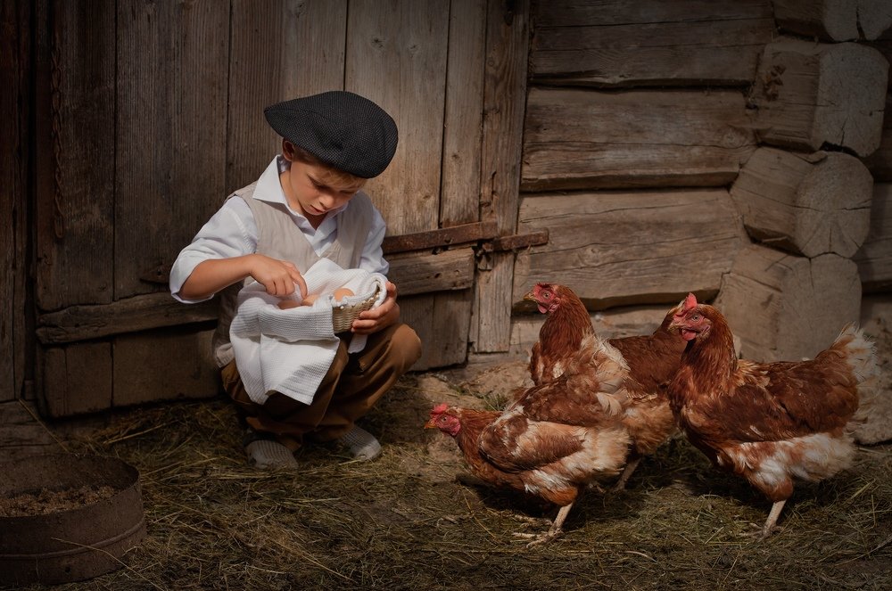 Photograph by Ольга Суторман