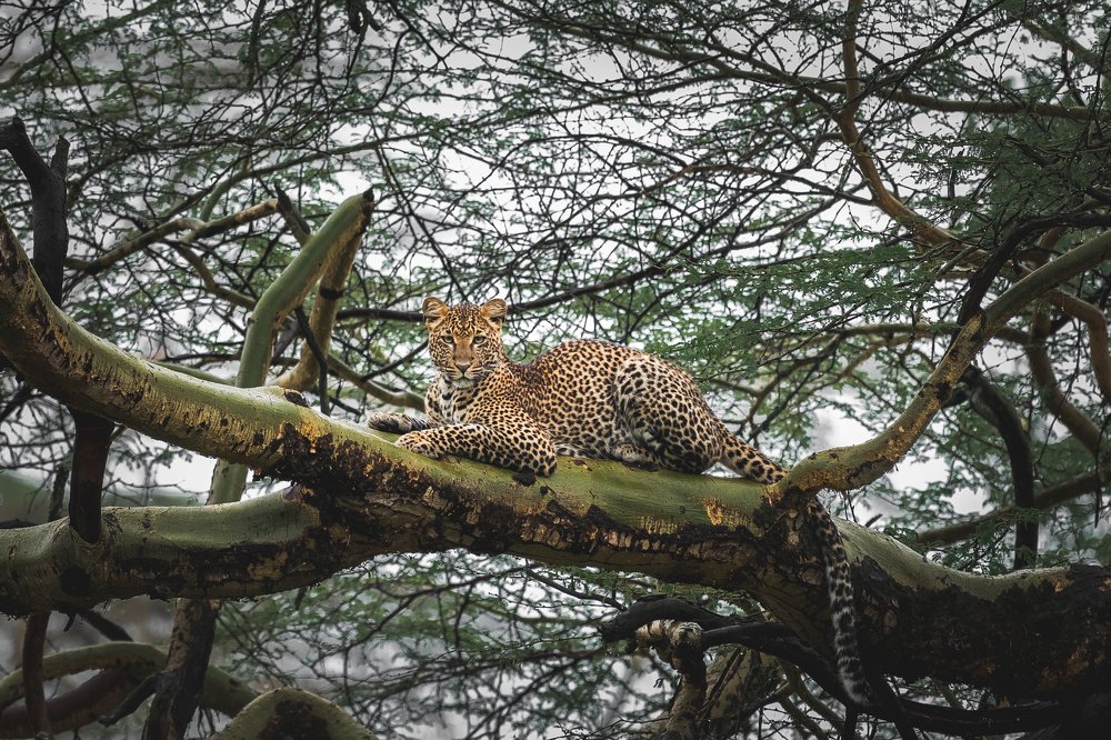 Photograph by Дмитрий Николаев