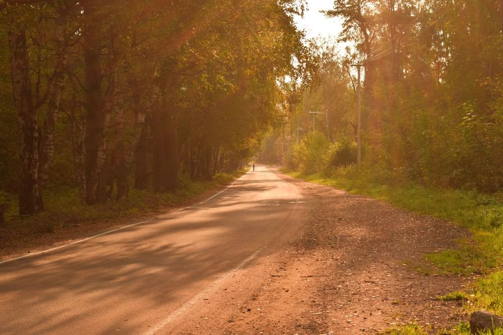 Photograph by Елена Викторовна Богданова