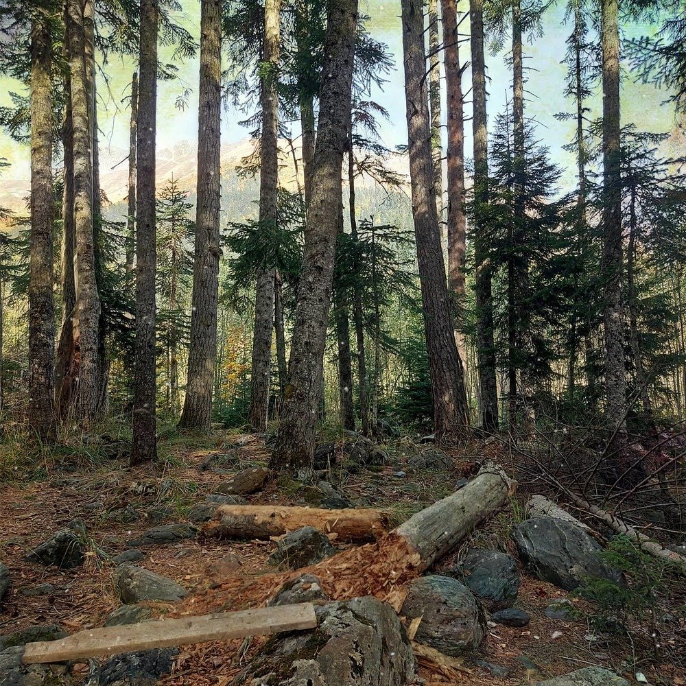 Photograph by Евгения Боровицкая