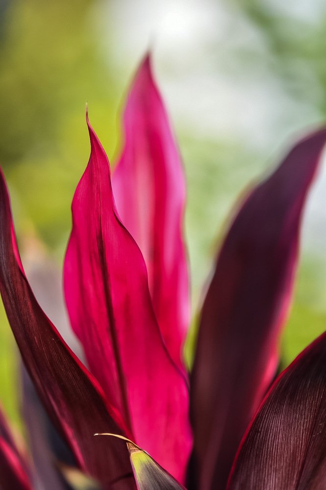 Photograph by Людмила Мамулат