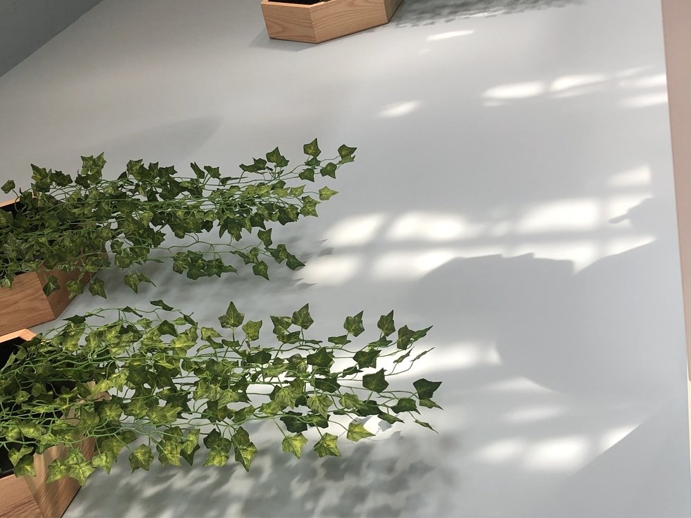 Photograph by Татьяна Балашова