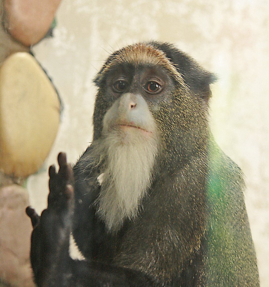 Photograph by Ирина Архипова