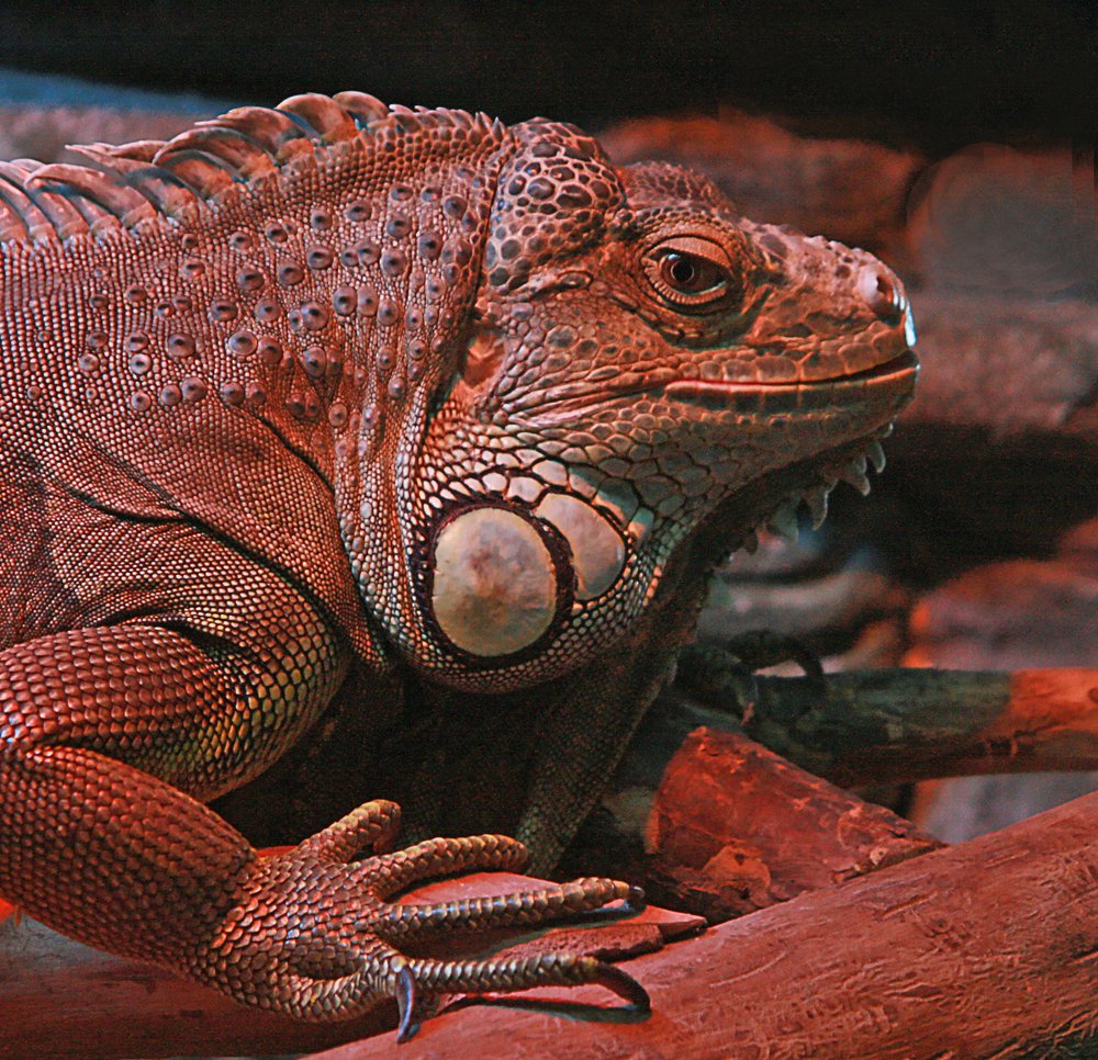 Photograph by Ирина Архипова