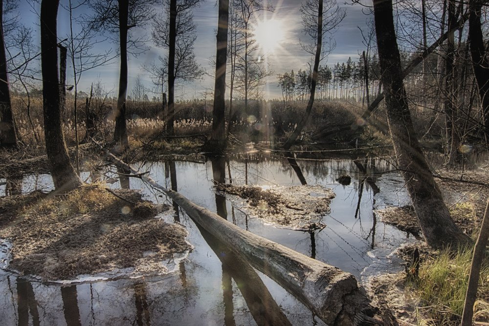 Photograph by Илья Тюрин