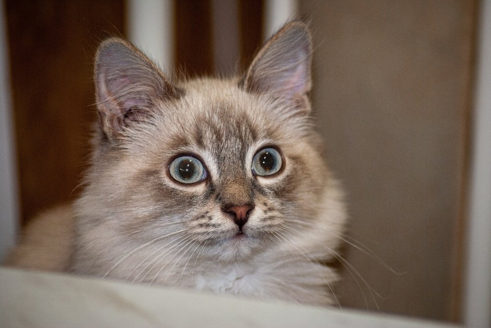 Photograph by Денис Кичев