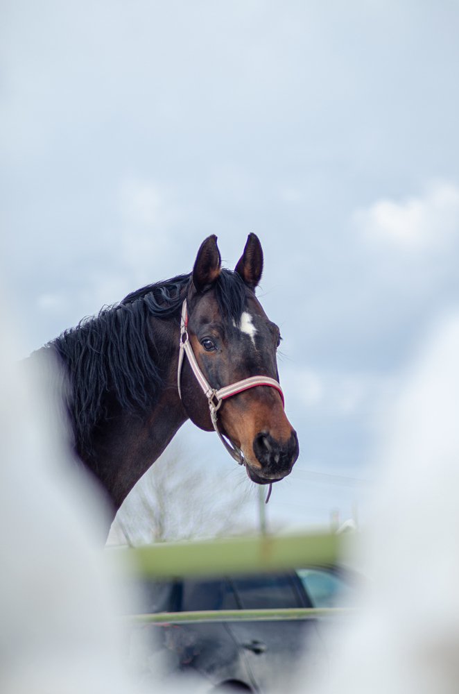 Photograph by Денис Кичев