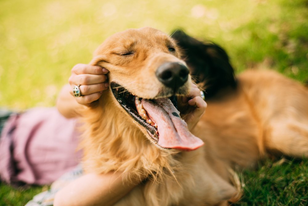 Photograph by Анна Куманцова