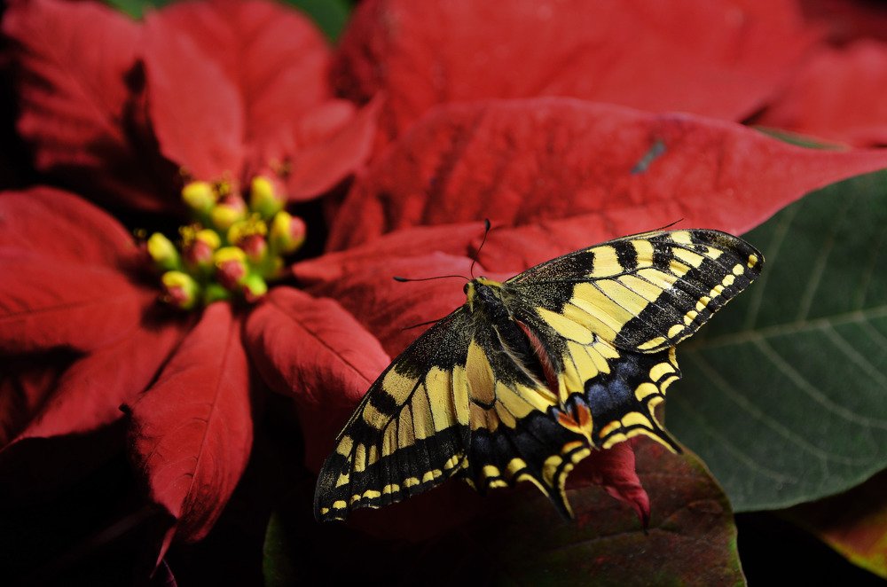 Photograph by Pavel SidorOFF